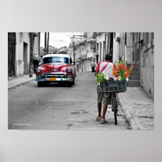 Póster Florismo cubano