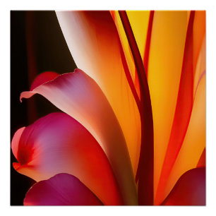 PÓSTER FLOTA ABSTRACTA ROJA