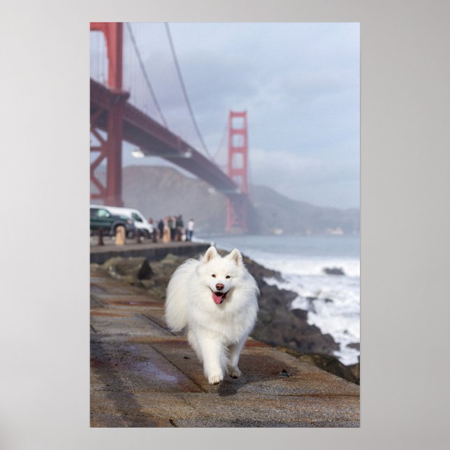 Póster Flotando por el puente Golden Gate (Frente)