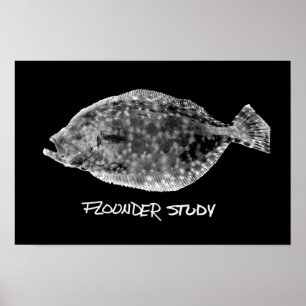 Póster Flounder Study print "VERY POPULAR"