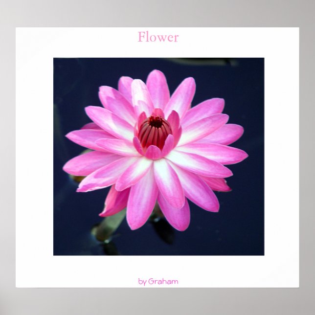 Póster Flower (Frente)