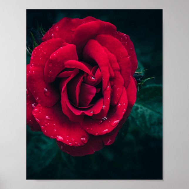 Póster Flower (Frente)