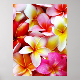 Póster Flower Hawaii Personalizada Plumeria Frangipani