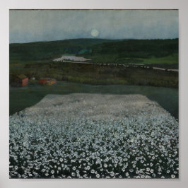 Póster Flower Meadow in the North - Fine Art Print