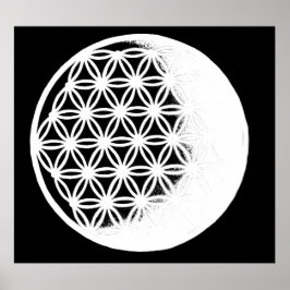 Póster Flower of Life