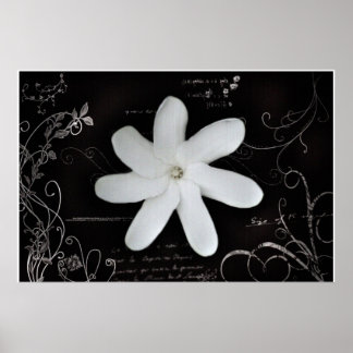 Póster Flower Poster