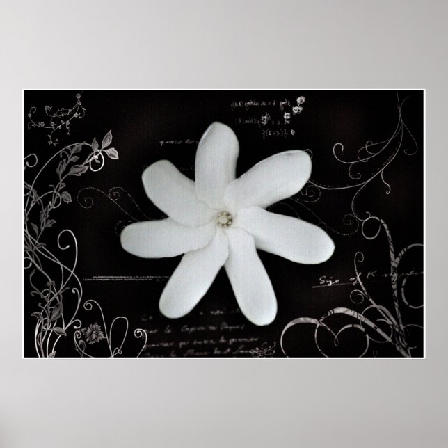 Póster Flower Poster (Frente)