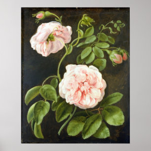 Póster Flower Study