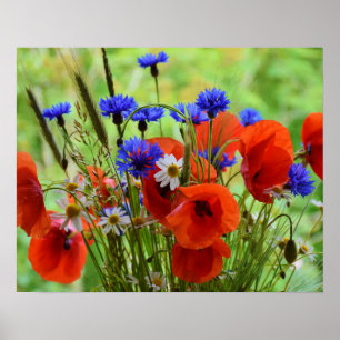 Póster Flowers