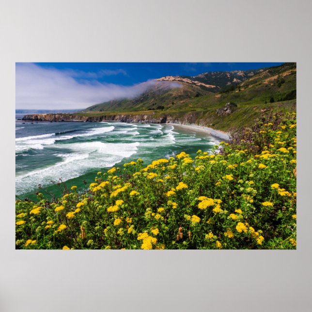 Póster Flowers Above Sand Dollar Beach (Frente)