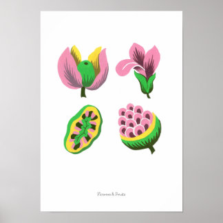 Póster Flowers & Fruits