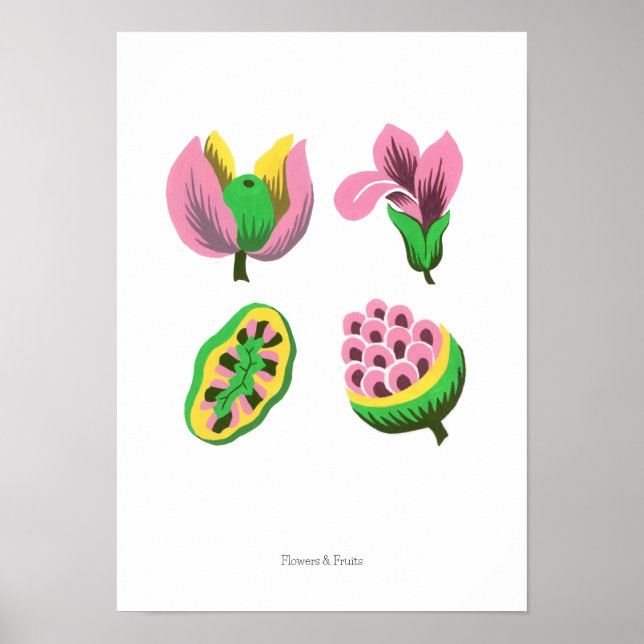 Póster Flowers & Fruits (Frente)