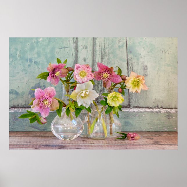 Póster Flowers | Hellebores in Vases (Frente)