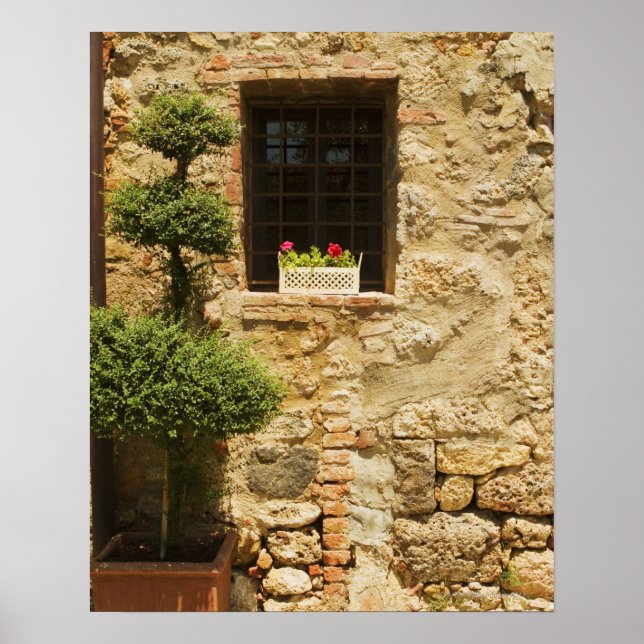 Póster Flowers in a window box on a window sill, (Frente)