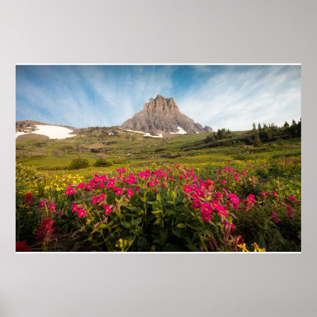 Póster Flowers | Montana's Glacier National Park (Frente)
