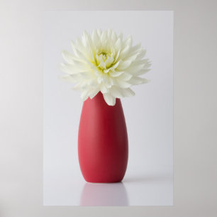 Póster Flowers White Dahlia in Red Vase