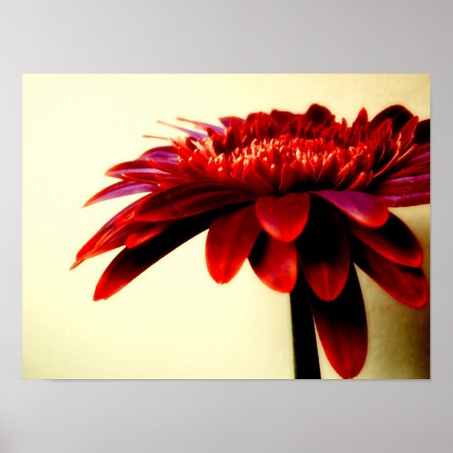 PÓSTER FLOWERSERIES-007 (Frente)