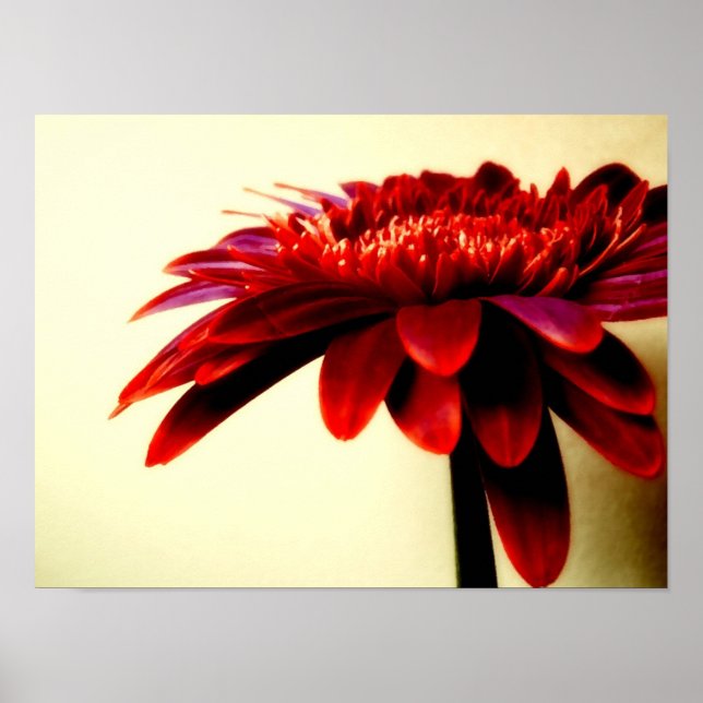 PÓSTER FLOWERSERIES-007 (Frente)