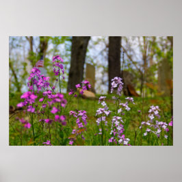 Póster Flox cerca de un cementerio