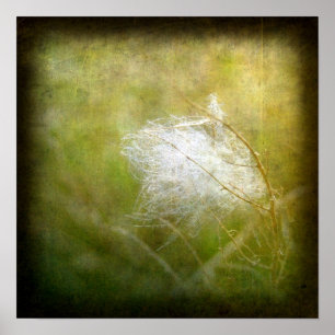 Póster Fluctuación