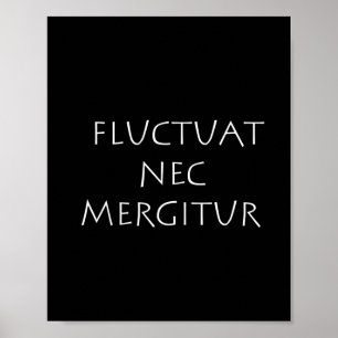 Póster Fluctuat nec mergitur