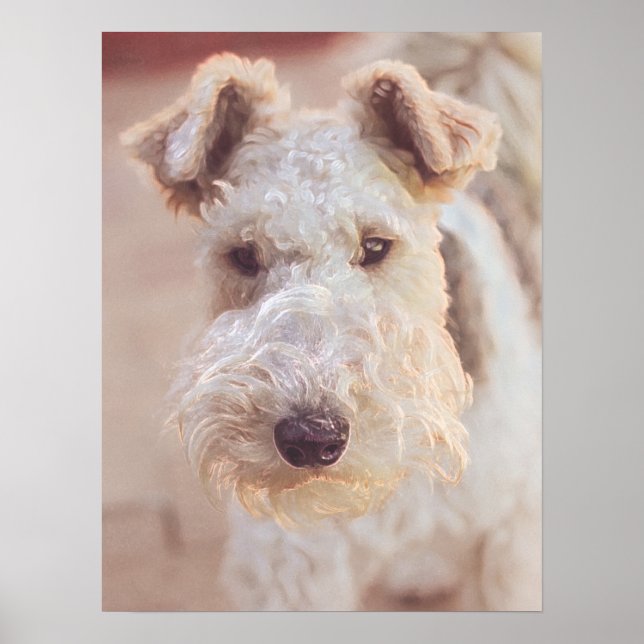 Póster Fluffy Airedale Welsh Terrish Tipo Perro Cachorro (Frente)