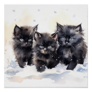 Póster Fluffy Black Kitts
