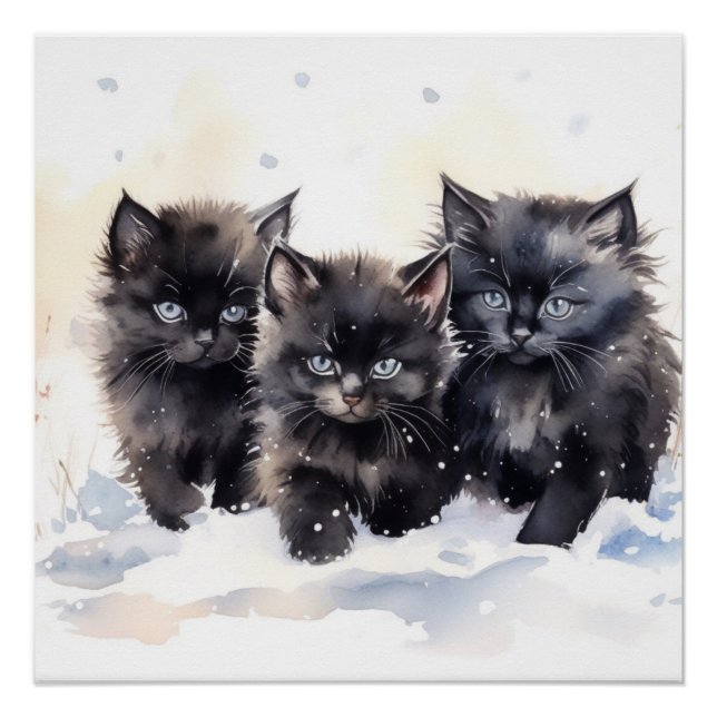 Póster Fluffy Black Kitts (Anverso)