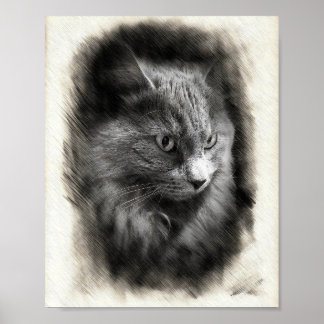 Póster Fluffy Gray Cat Sketch - Soft Feline Portrait Art