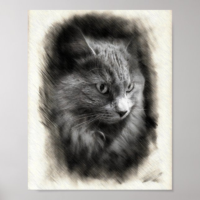 Póster Fluffy Gray Cat Sketch - Soft Feline Portrait Art  (Frente)