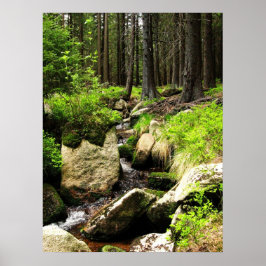 Póster flujo de bosque