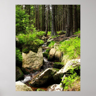 Póster flujo de bosque