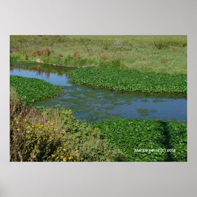 Póster Flujos verdes (Frente)