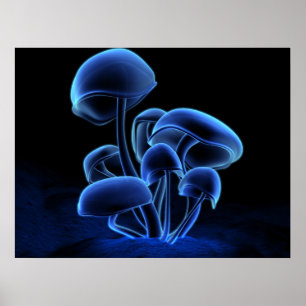 Póster Fluorescencia
