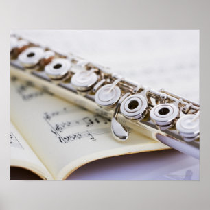 Póster Flute 2