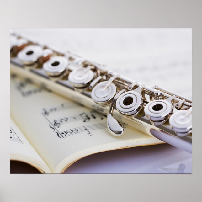 Póster Flute 2 (Frente)