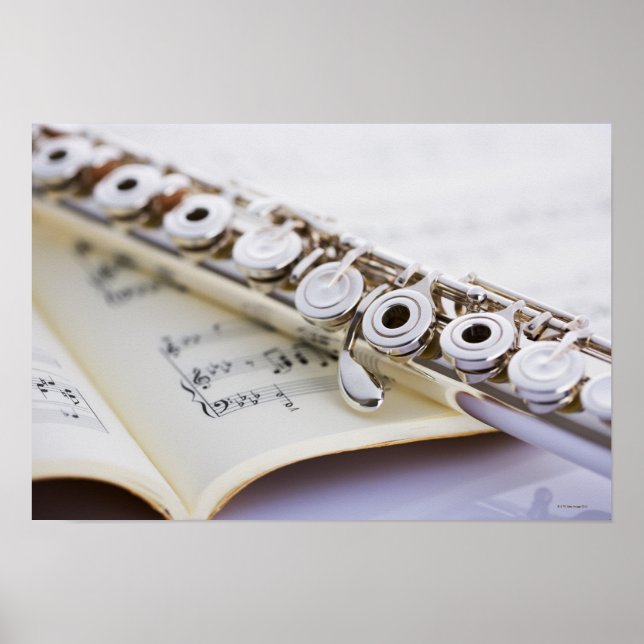 Póster Flute 2 (Frente)