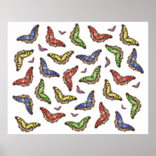 Póster Flutterbys