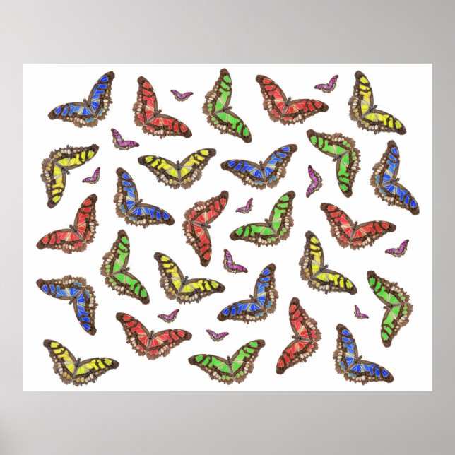 Póster Flutterbys (Frente)