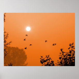 Póster Fly at dawn Print