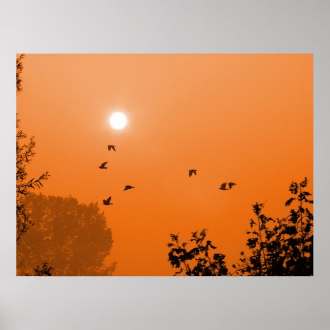 Póster Fly at dawn Print (Frente)