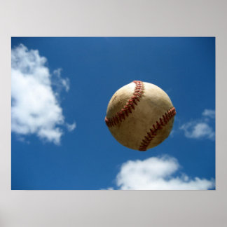 Póster Fly Ball