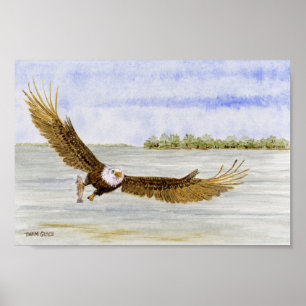 Póster Fly Fishin'- Águila calva