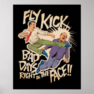 Póster Fly Kick
