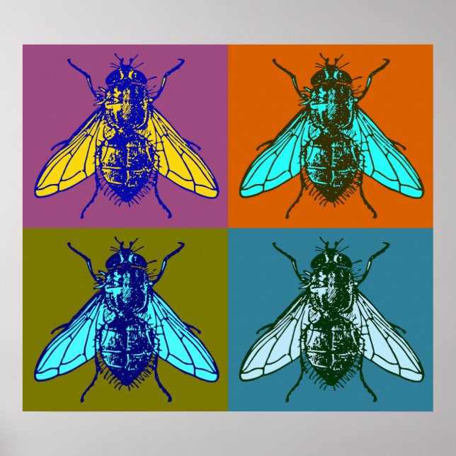 Póster Fly Pop Art (Frente)