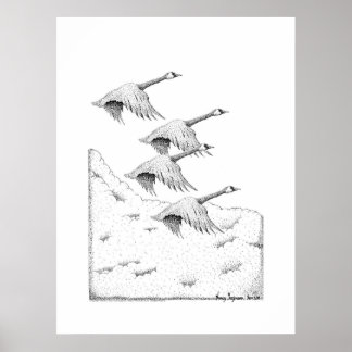 Póster Flying Canada Geese Pen and Ink Drawing