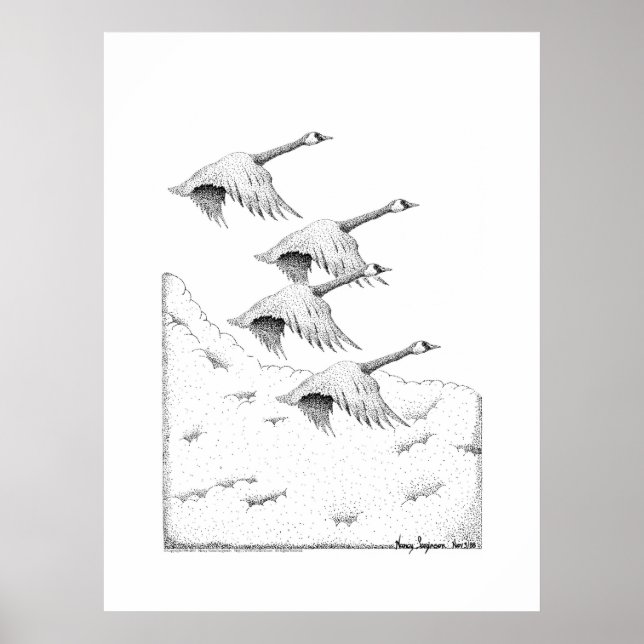 Póster Flying Canada Geese Pen and Ink Drawing (Frente)