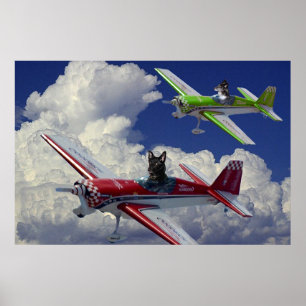 Póster Flying dogs 4