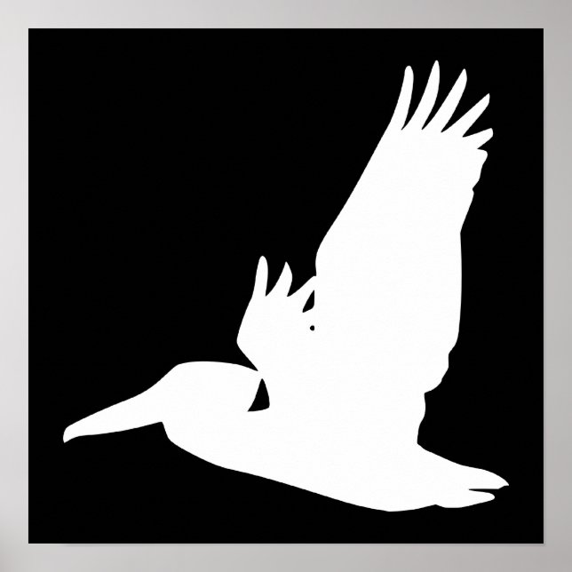 Póster Flying Pelican (Frente)