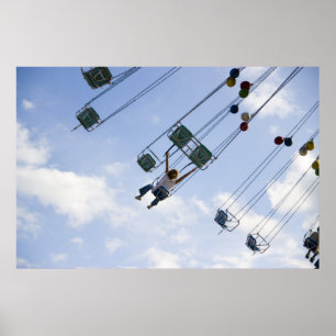 Póster Flying Print